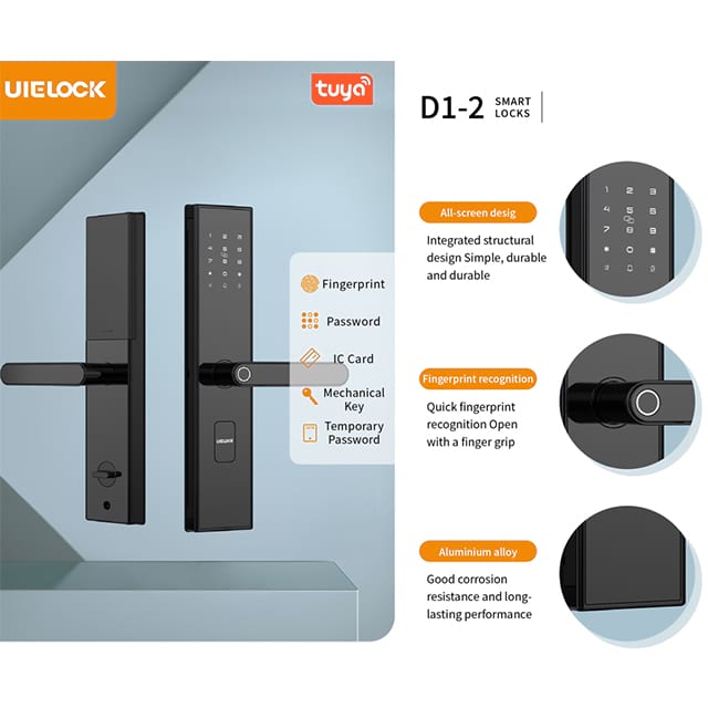 D1-2 Door Commercial Smart Lock With Handle