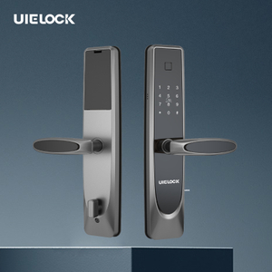 M03 Automatic Home Electronic Smart Locks With Handle