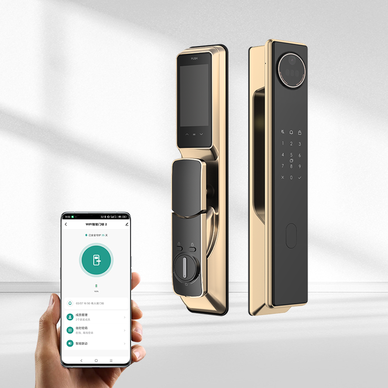 Q61 3D Face Recognition Palm Vein Visual Intercom Smart Door Lock