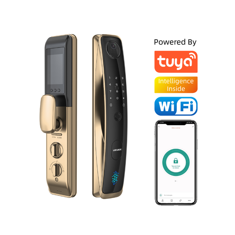 QA60 Tuya App Smart Lock With Face Recognition