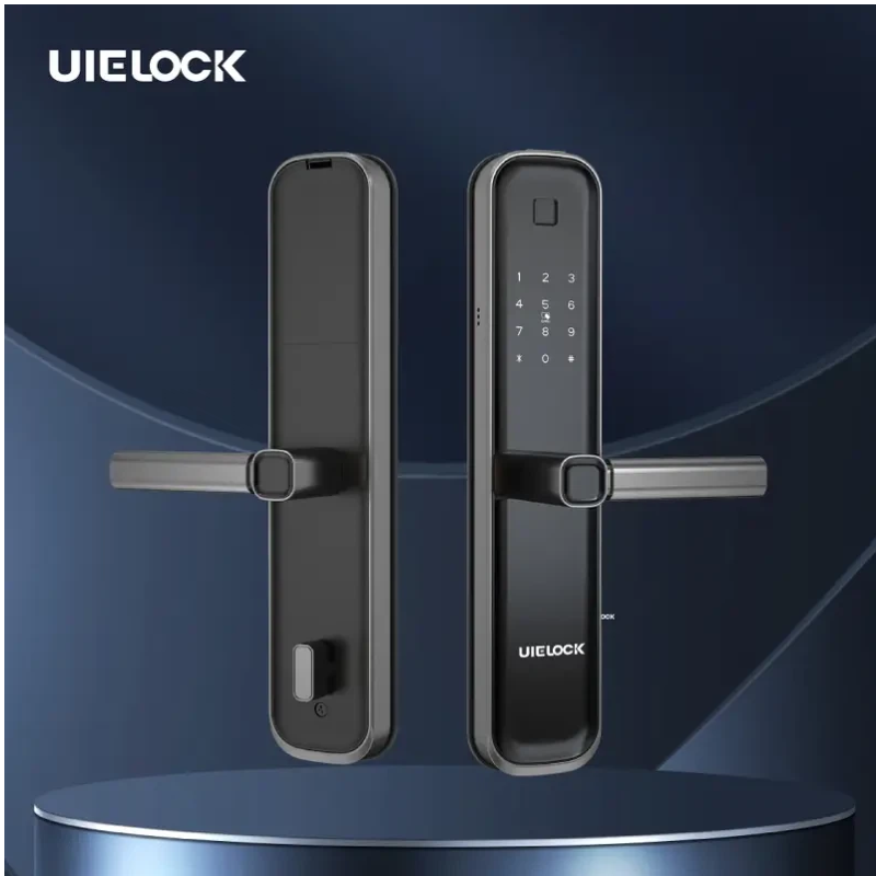 biometric door locks